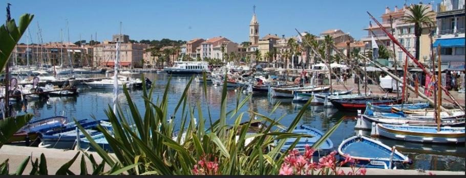 L Annexe 50M De La Plage Bandol Exterior foto